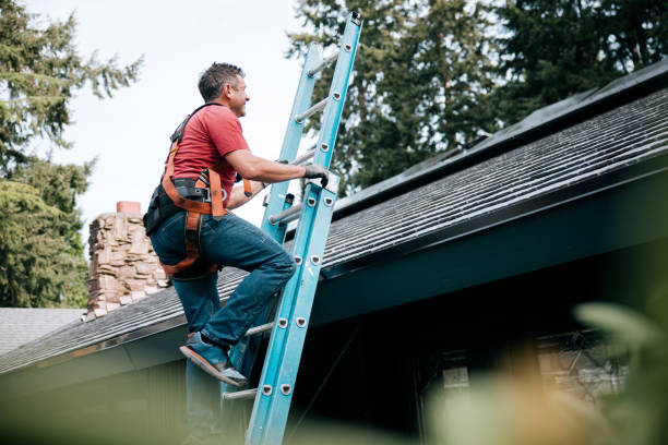 Best Metal Roofing Installation  in Coal Valley, IL